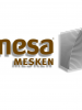 Msa_Logo